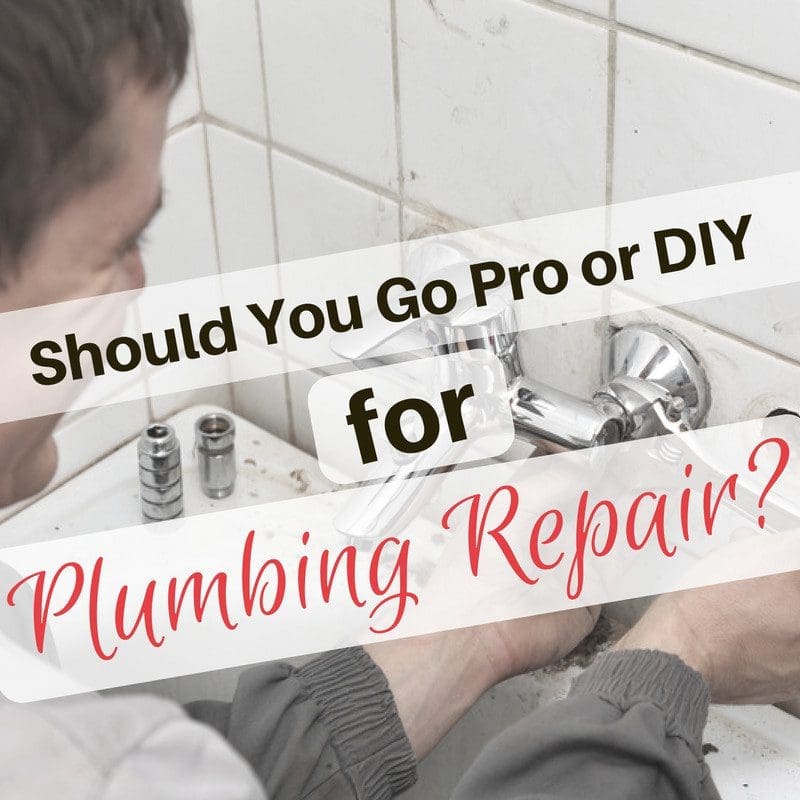 Should You Go Pro or DIY for Plumbing Repair?