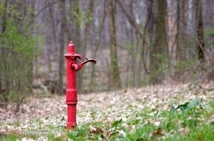 Well Pumps