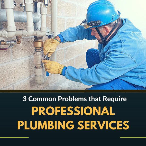 3 Common Problems that Require Professional Plumbing Services