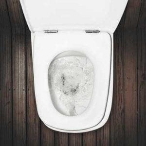 Toilet Repair