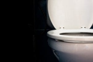 Toilet Repair