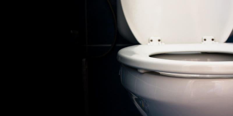 Toilet Repair