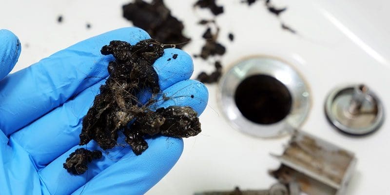 Drain Cleaning
