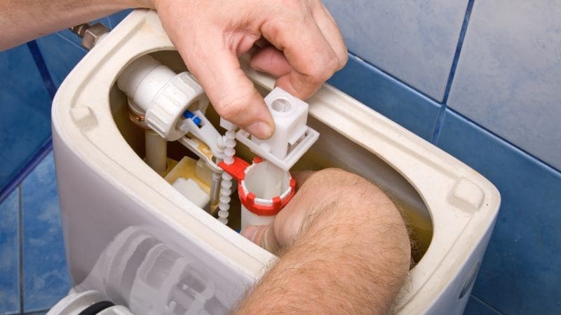 3 Signs that You Need Toilet Repair